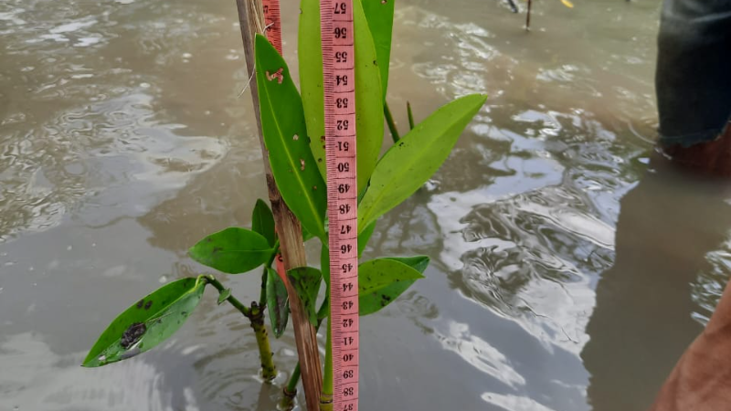 Gambar Monitoring
