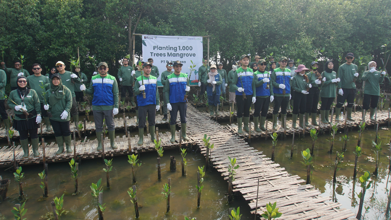 Gambar Monitoring