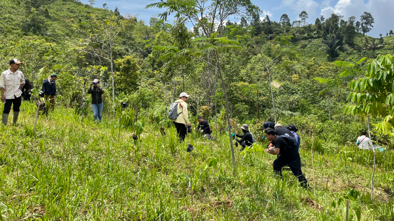 Gambar Monitoring