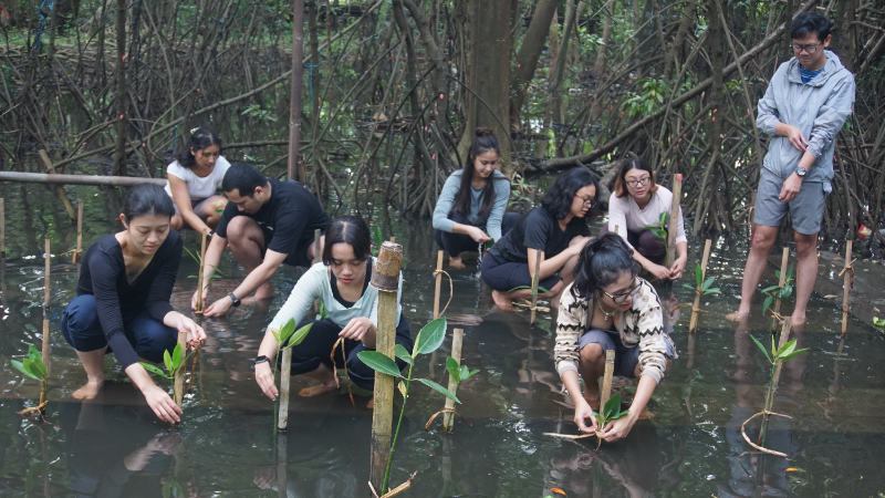 Gambar Monitoring