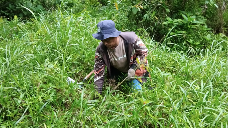 Gambar Monitoring
