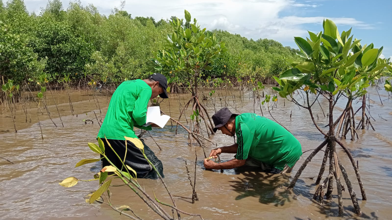 Gambar Monitoring