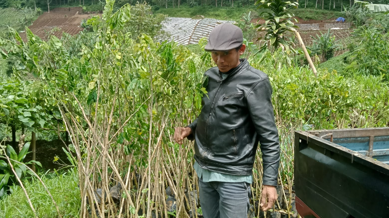 Gambar Monitoring