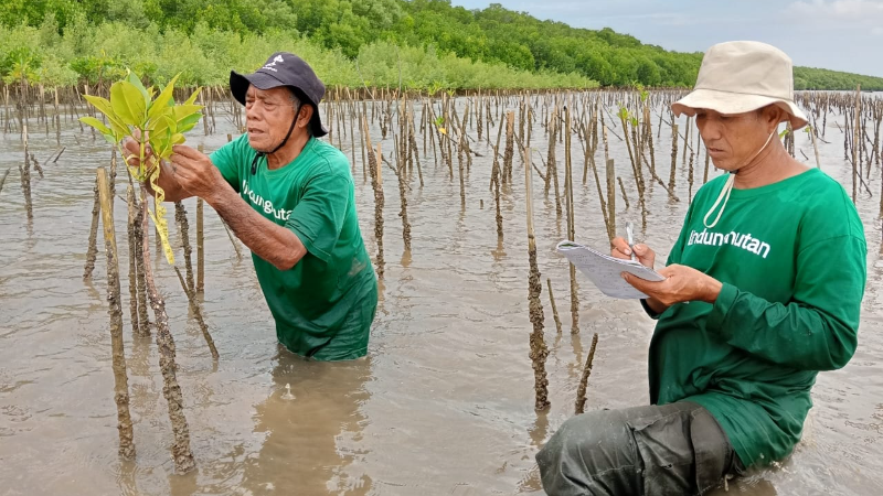 Gambar Monitoring