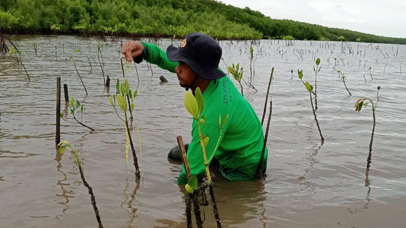 Gambar Monitoring