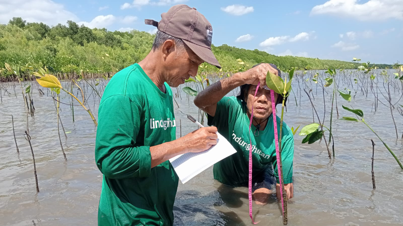 Gambar Monitoring