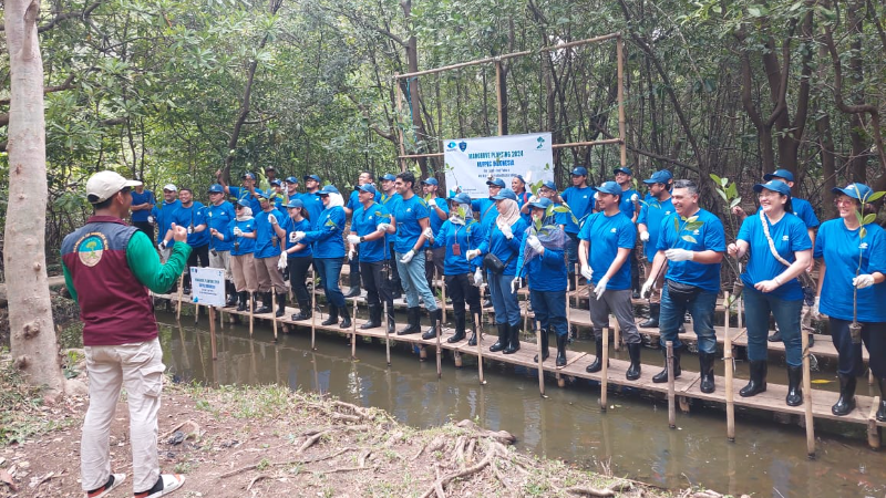 Gambar Monitoring