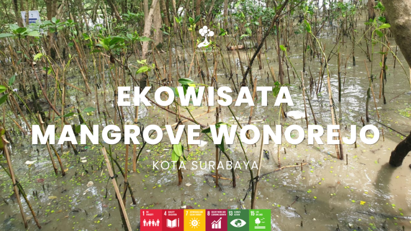 Wilayah Penanaman Ekowisata Mangrove Wonorejo - LindungiHutan