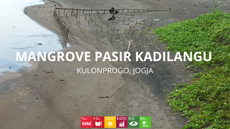 Wilayah Penanaman Mangrove Pasir Kadilangu - LindungiHutan
