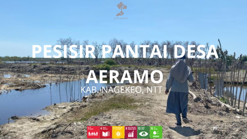 Wilayah Penanaman Pesisir Pantai  Desa Aeramo - LindungiHutan