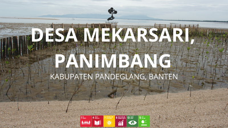 Wilayah Penanaman Desa Mekarsari Panimbang - LindungiHutan