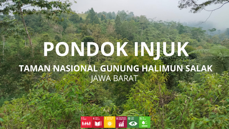 Wilayah Penanaman Pondok Injuk Taman Nasional Gunung Halimun Salak - LindungiHutan