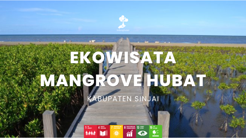 Wilayah Penanaman Ekowisata Mangrove Hubbat - LindungiHutan
