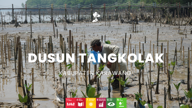 Wilayah Penanaman Dusun Tangkolak - LindungiHutan