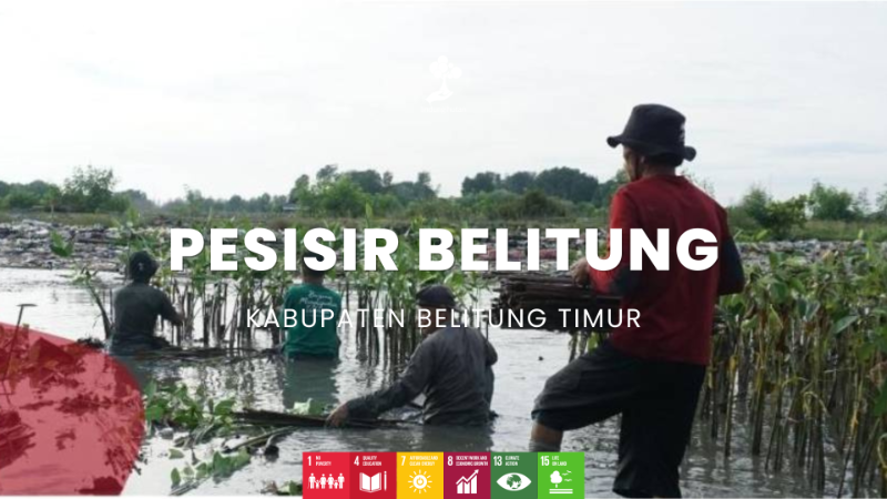 Pesisir Belitung, KABUPATEN BELITUNG TIMUR - LindungiHutan