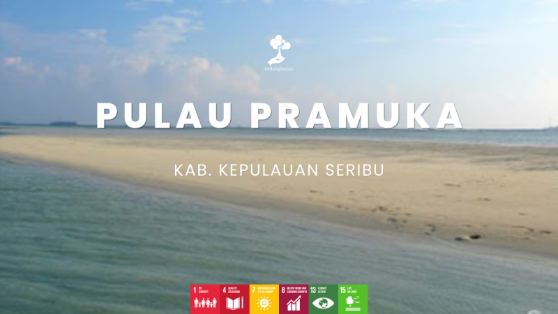 Wilayah Penanaman Pulau Pramuka - LindungiHutan