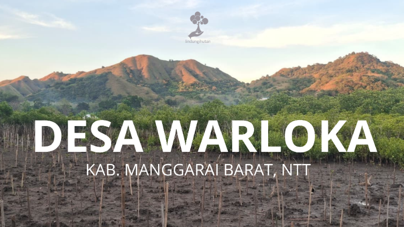 Wilayah Penanaman Desa Warloka - Labuan Bajo - LindungiHutan