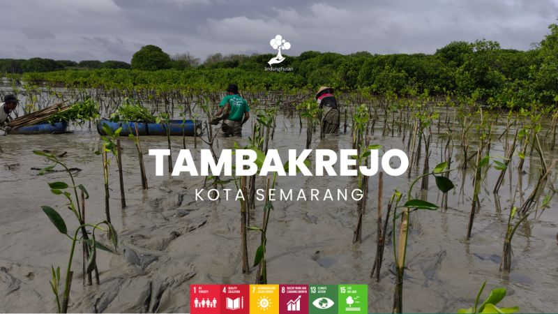 Wilayah Penanaman Pesisir Tambakrejo - LindungiHutan