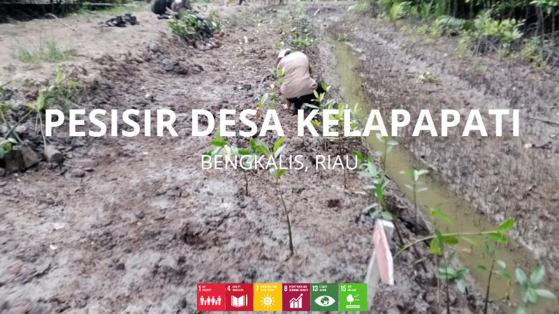 Wilayah Penanaman Pesisir Desa Kelapapati  - LindungiHutan