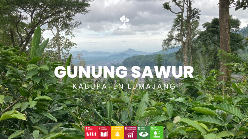 Wilayah Penanaman Gunung Sawur - LindungiHutan